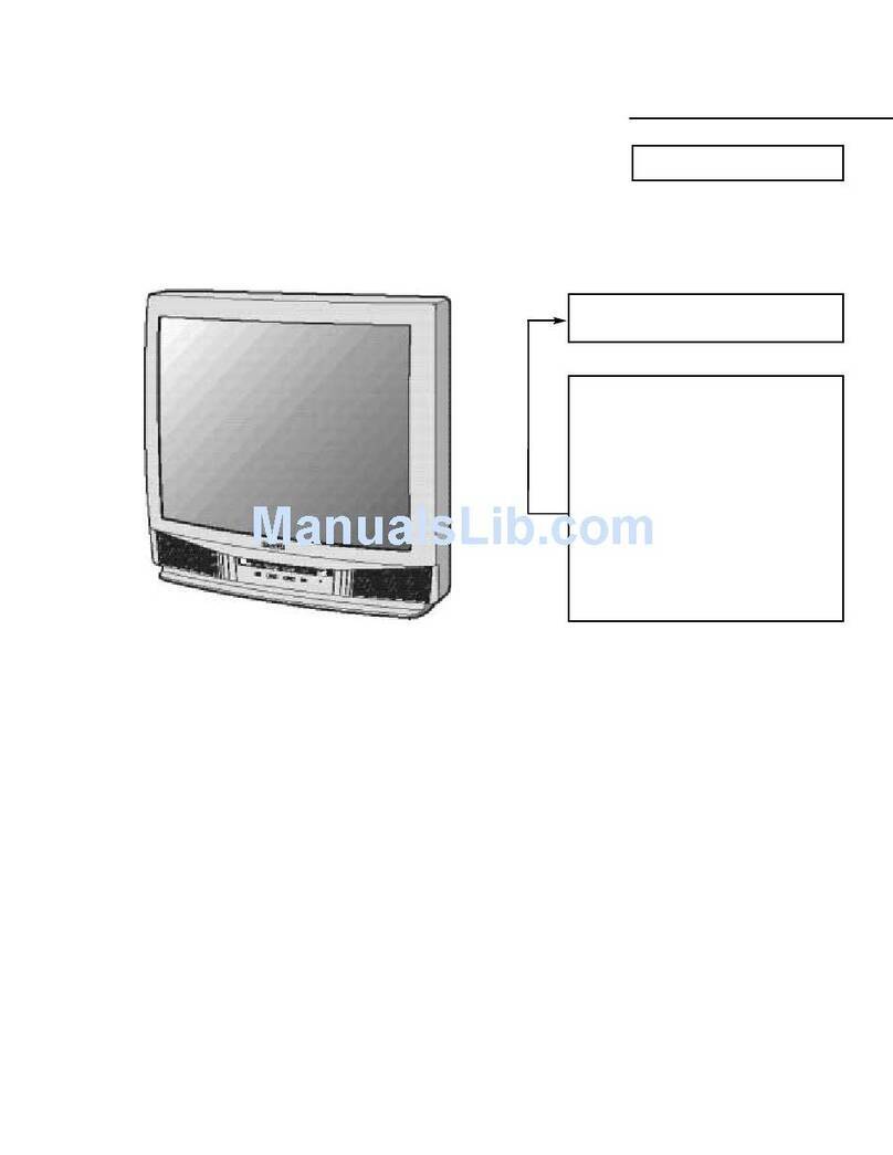 Sanyo DS31590 User manual