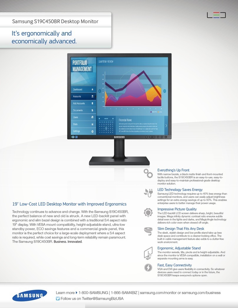 Samsung SyncMaster S19C450BR User manual