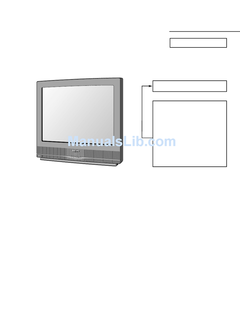 Sanyo DS27910 User manual Sanyo DS27910 User manual