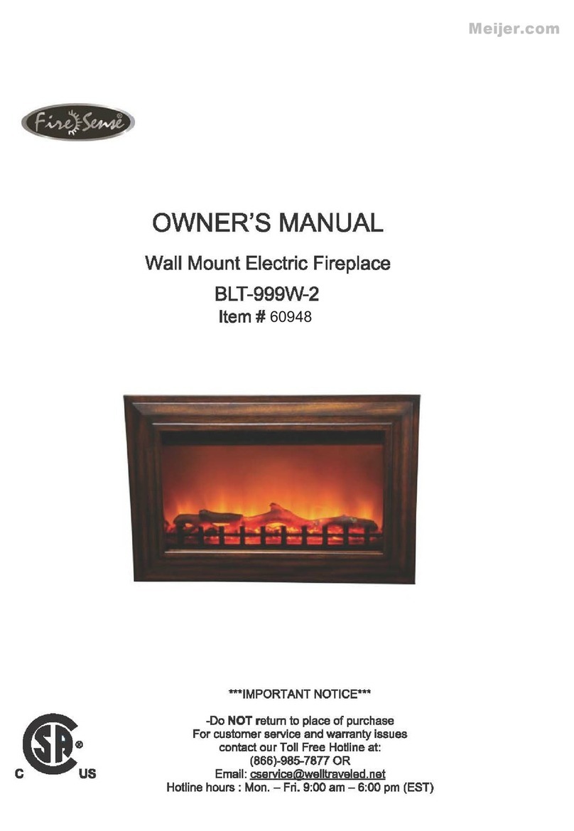 Firesense BLT-999W-2 owner's manual