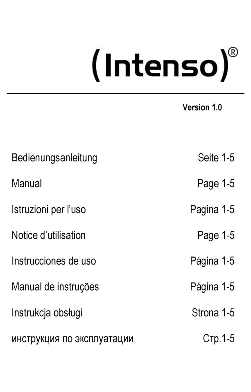 Intenso Internal hard disk operating instructions