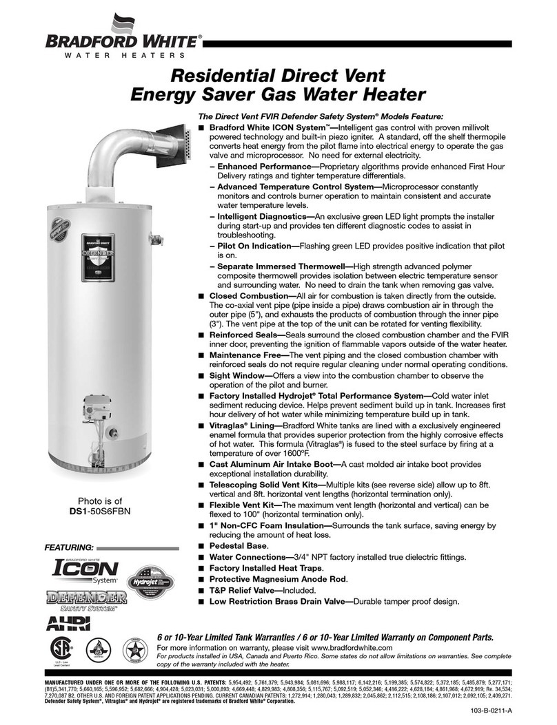 Bradford White DS1-40S6FBN Information sheet