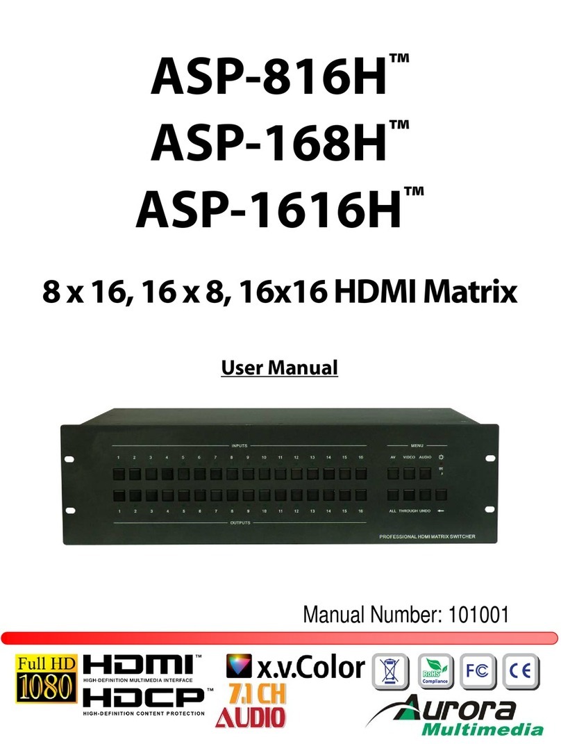 Aurora Multimedia ASP-816H User manual