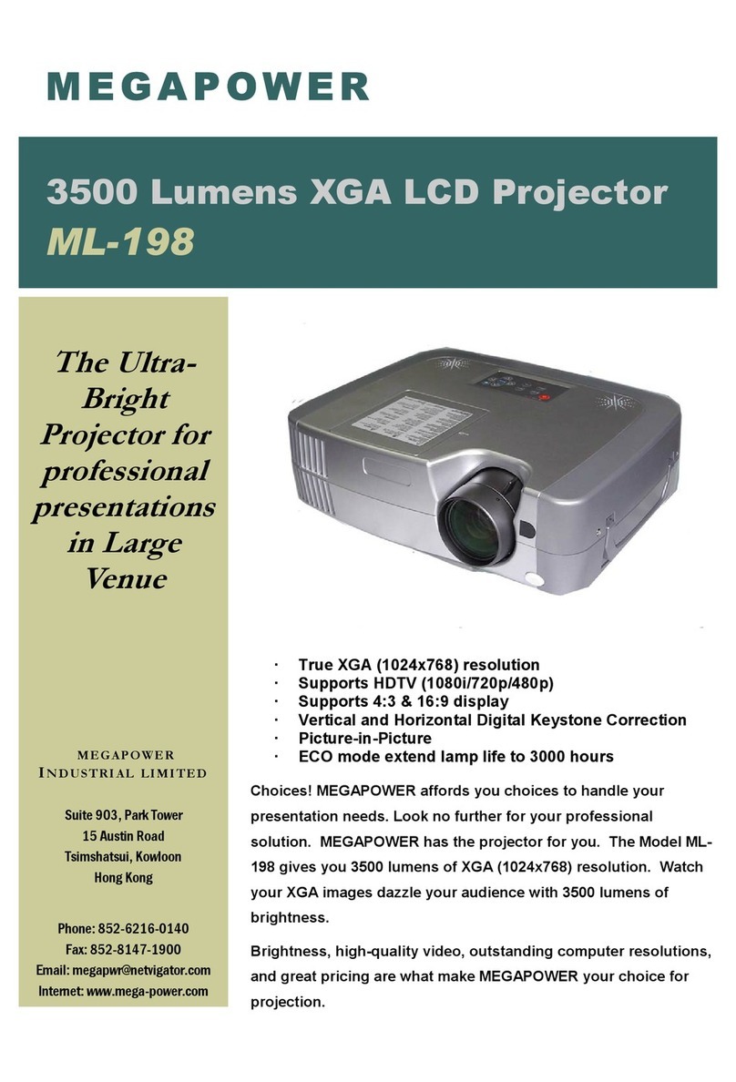 MEGAPOWER ML-198 User manual