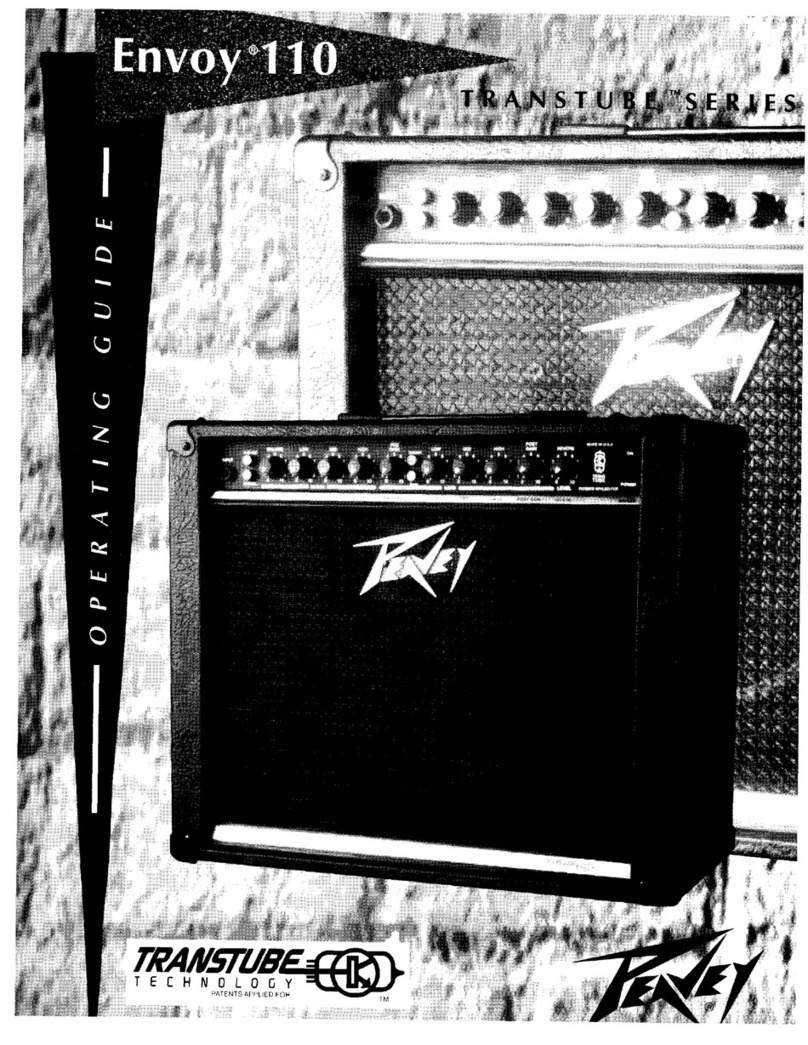 Peavey Transtube Envoy 110 User manual