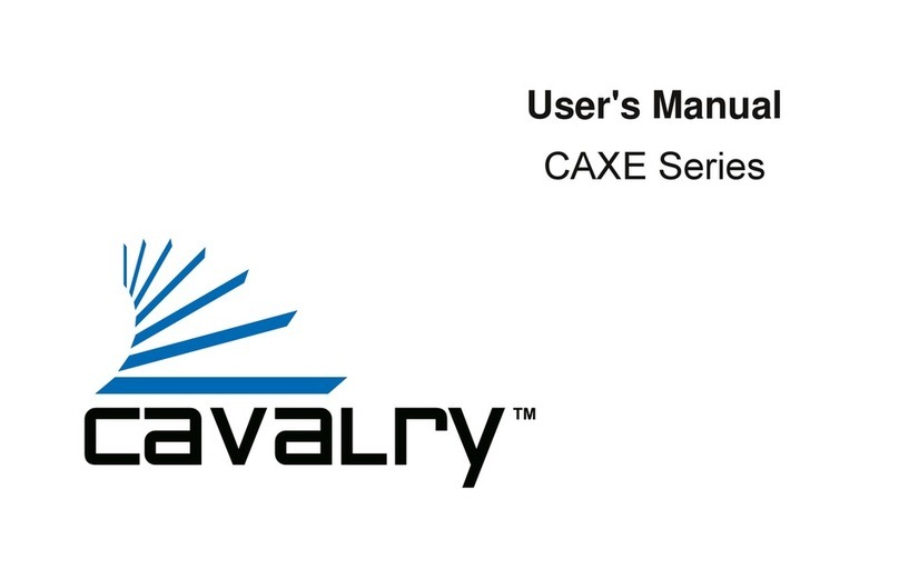 Cavalry CAXE Series user manual