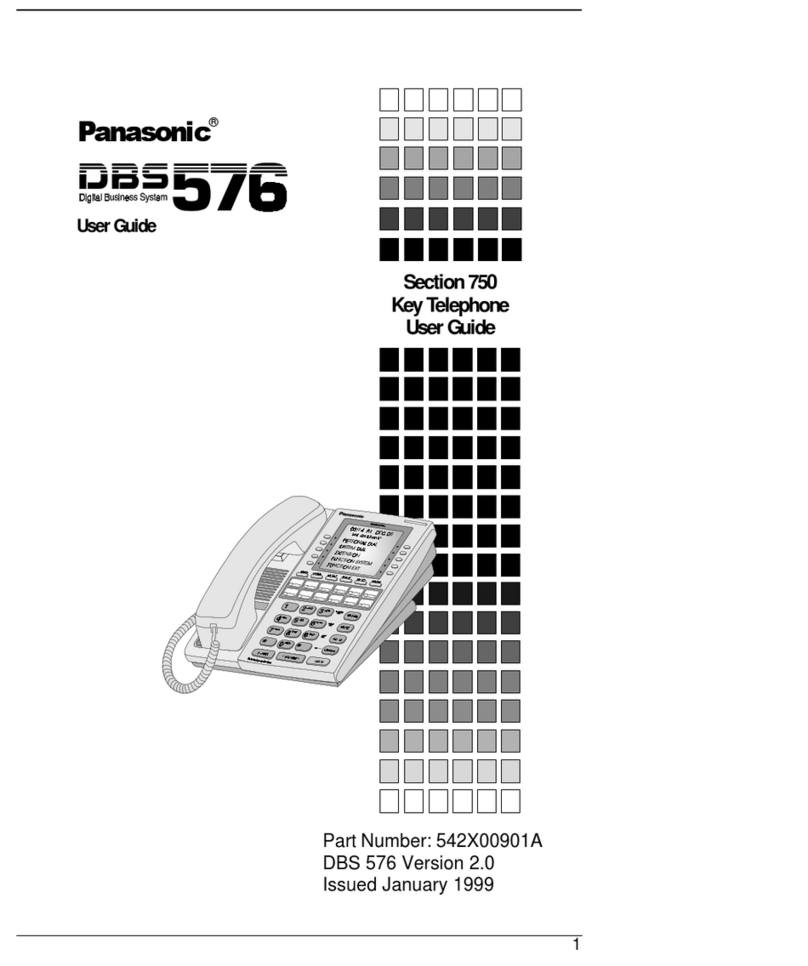 Panasonic DBS 576 Section 300 user guide