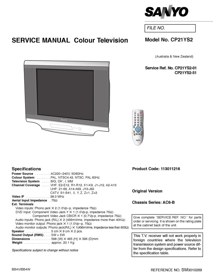 Sanyo CP21YS2 User manual