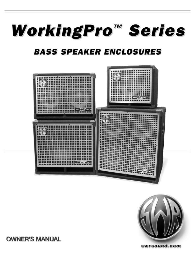 SWR WorkingPro Series owner's manual