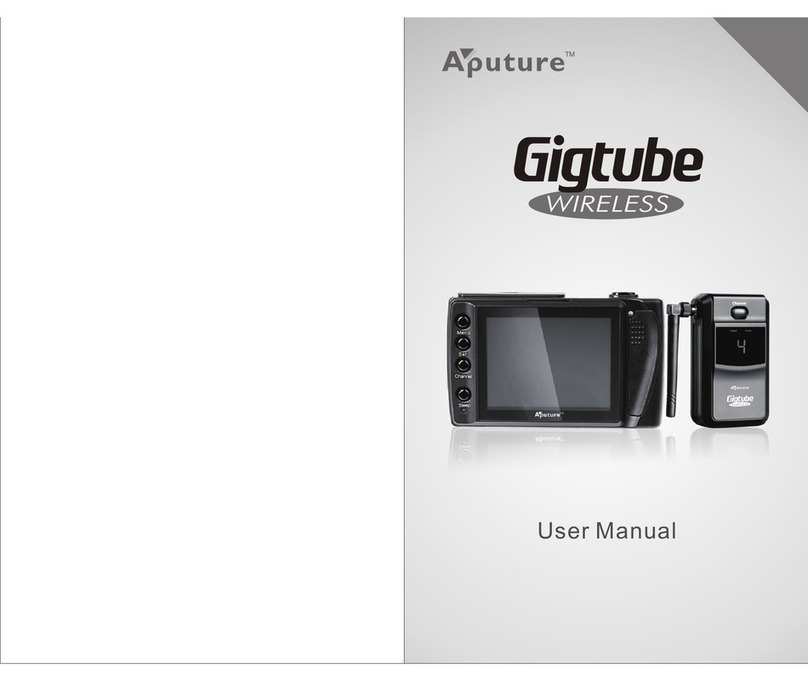 Aputure Gigtube Wireless user manual