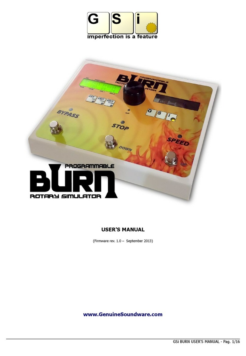GSi BURN user manual