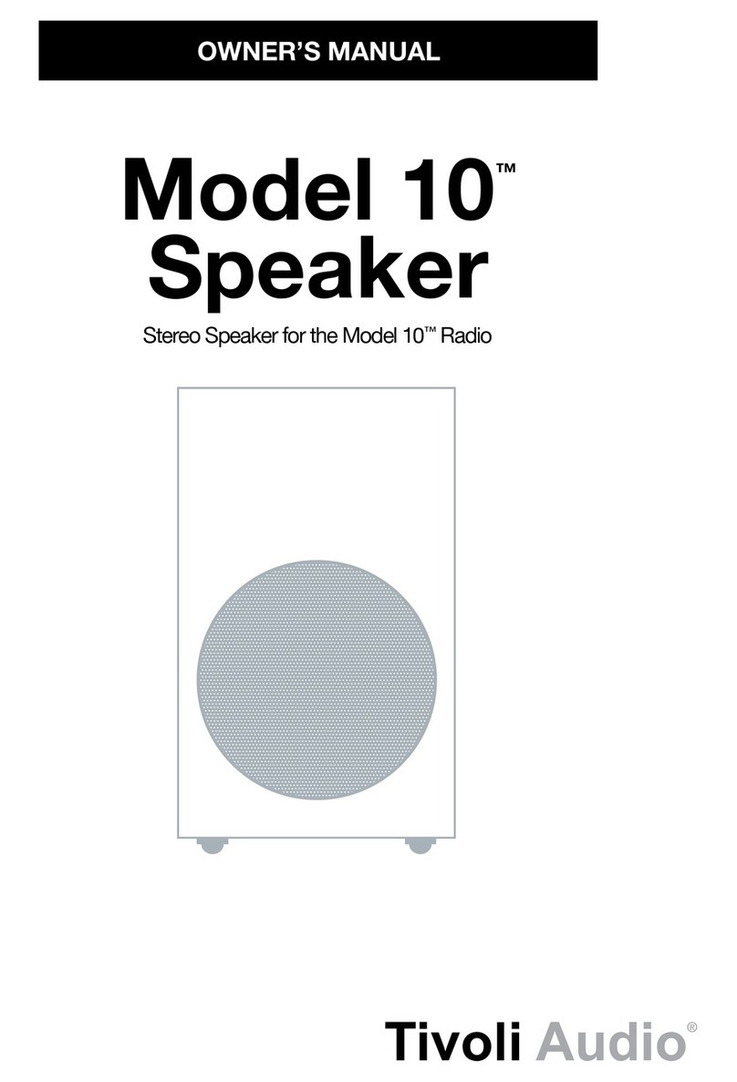 Tivoli Audio 10 User manual