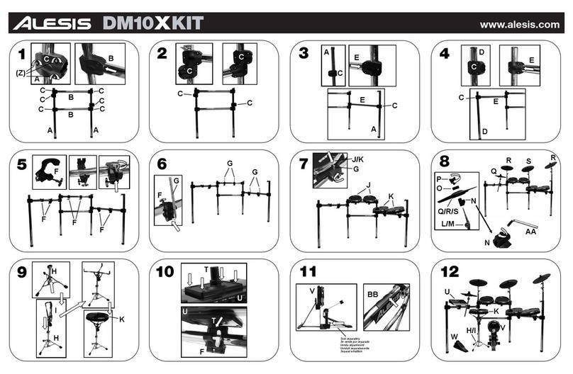 Alesis DM10X Kit User manual