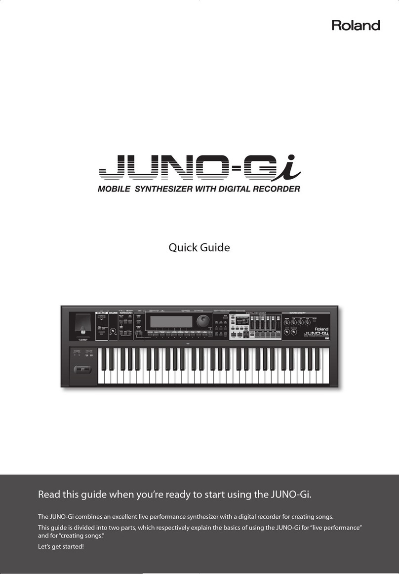Roland JUNIO-Gi User manual