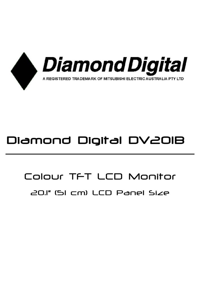 Diamond Digital Diamond Digital DV201B User manual