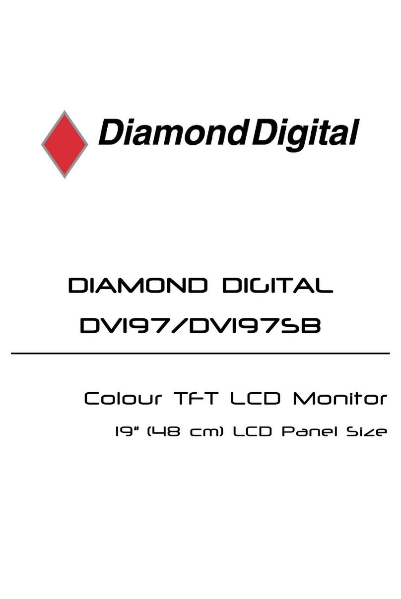Diamond Digital DIAMOND DIGITAL DV197 User manual
