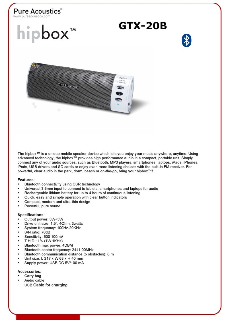 Pure Acoustics Hipbox GTX-20B Brochure & specs