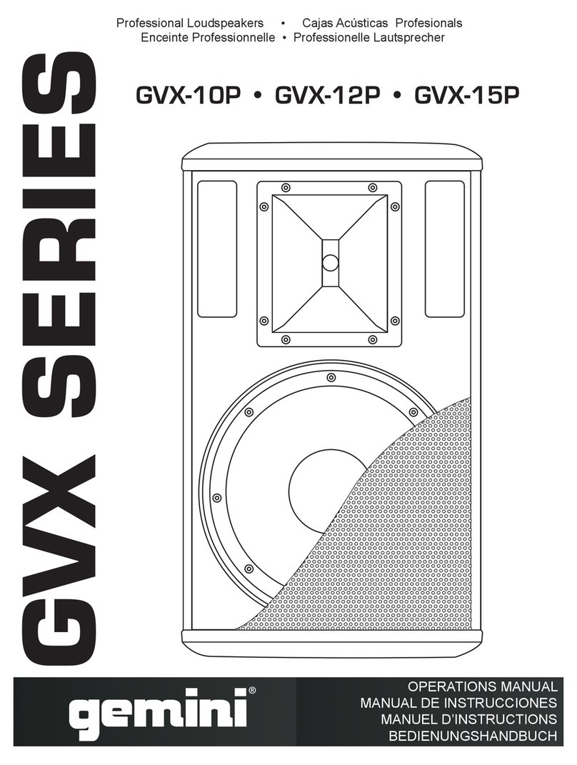 Gemini GVX-10P User manual