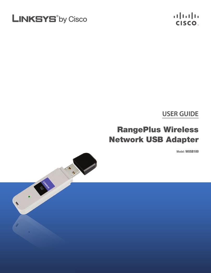 Cisco WUSB100 User manual