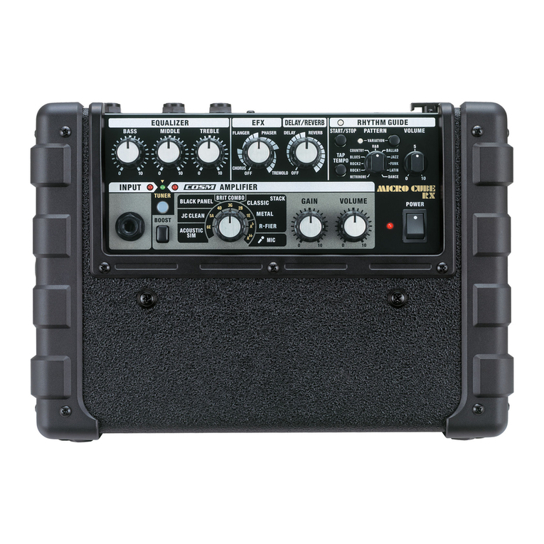 Roland Micro Cube Bass RX User manual