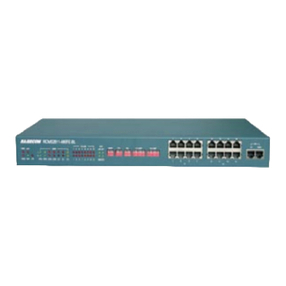 Raisecom RCMS 2811 User manual