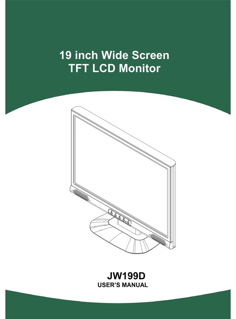 Hanns.G JW199D User manual