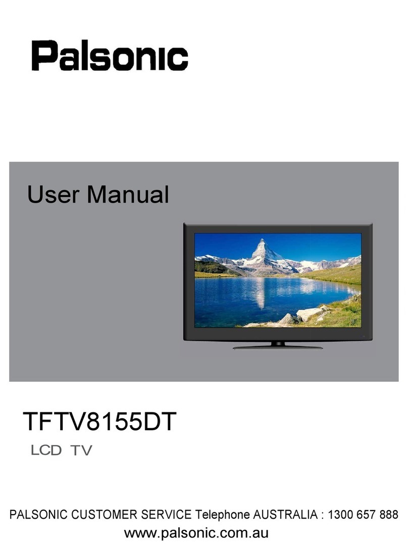 Palsonic TFTV8155DT User manual