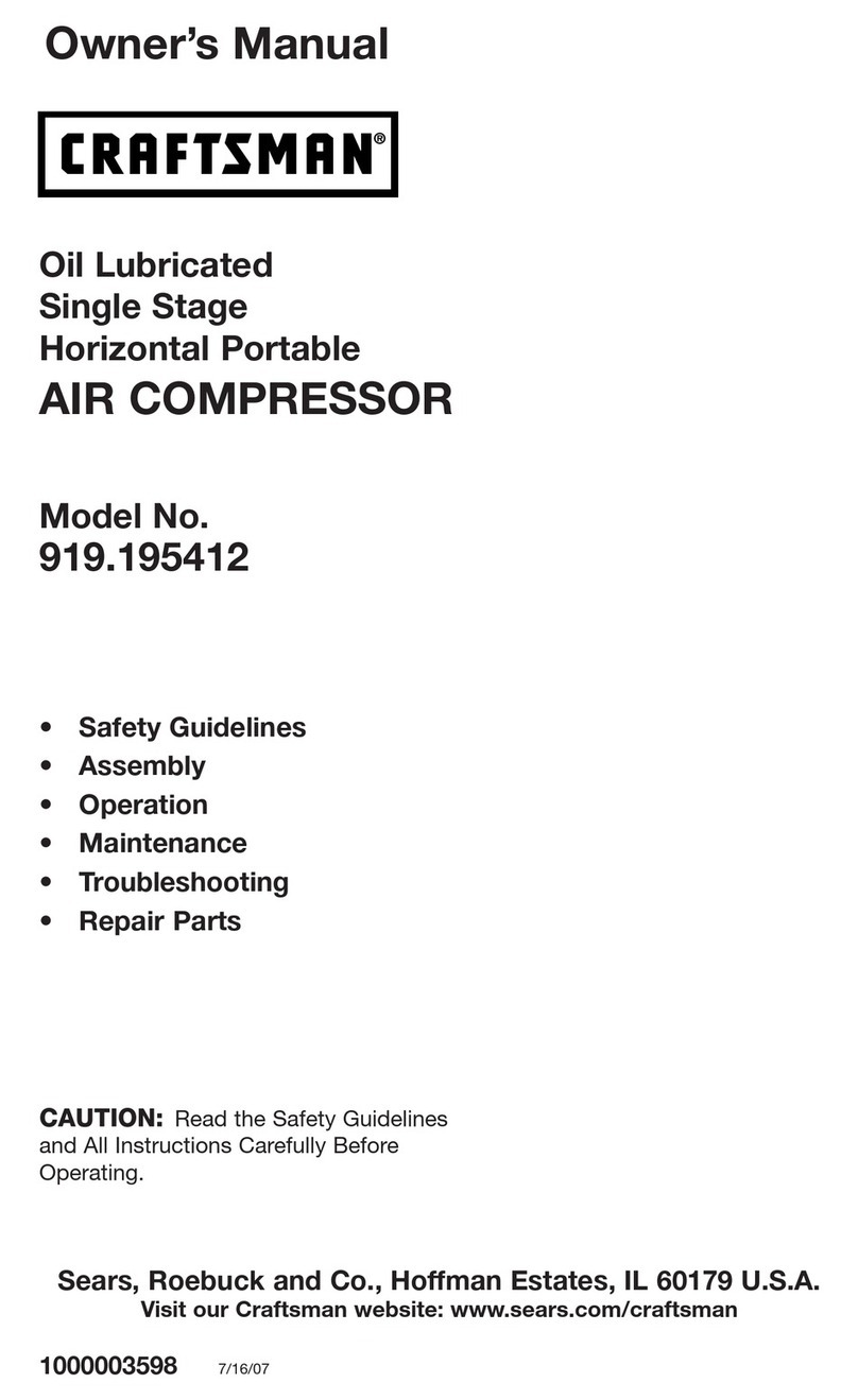 Craftsman 919.195412 User manual
