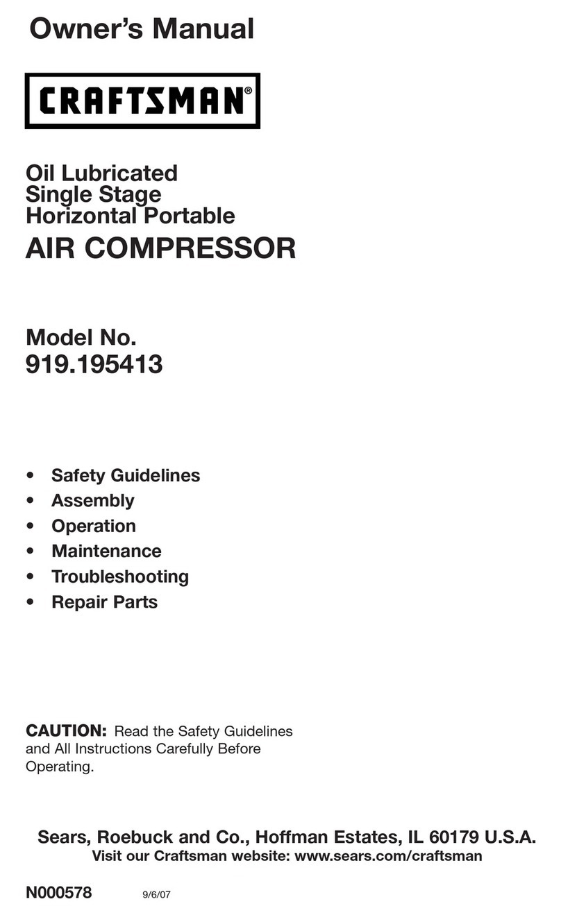 Craftsman 919.195413 User manual