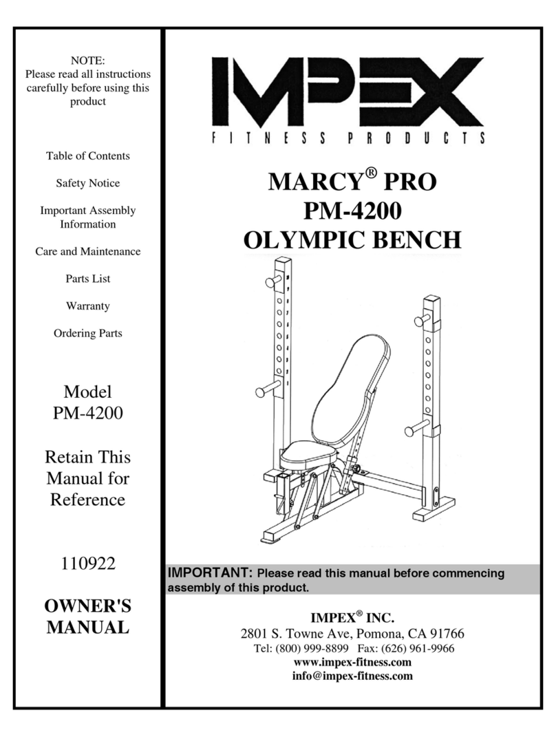 Impex PM-4200 owner's manual