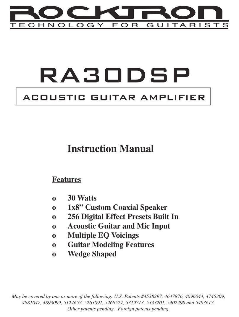 Rocktron RA30DSP instruction manual