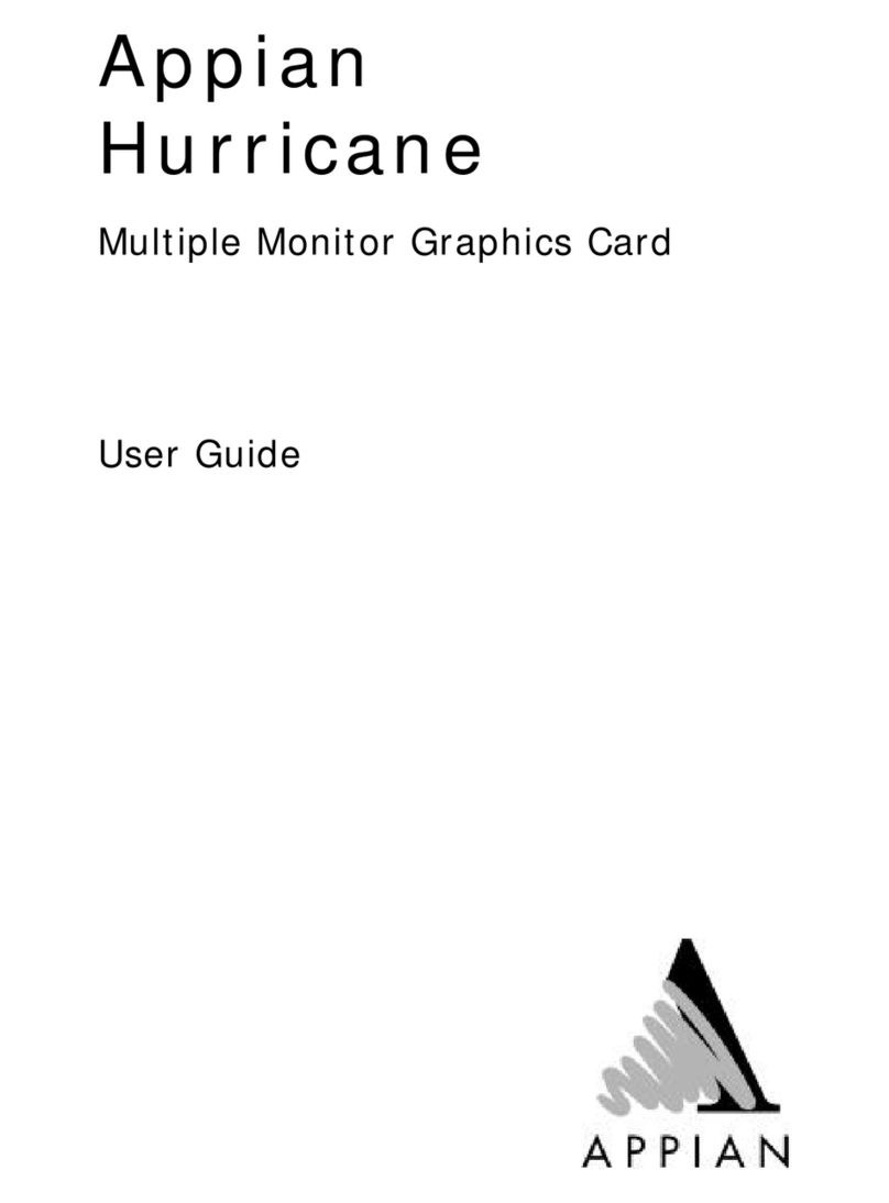 Appian Hurricane user guide
