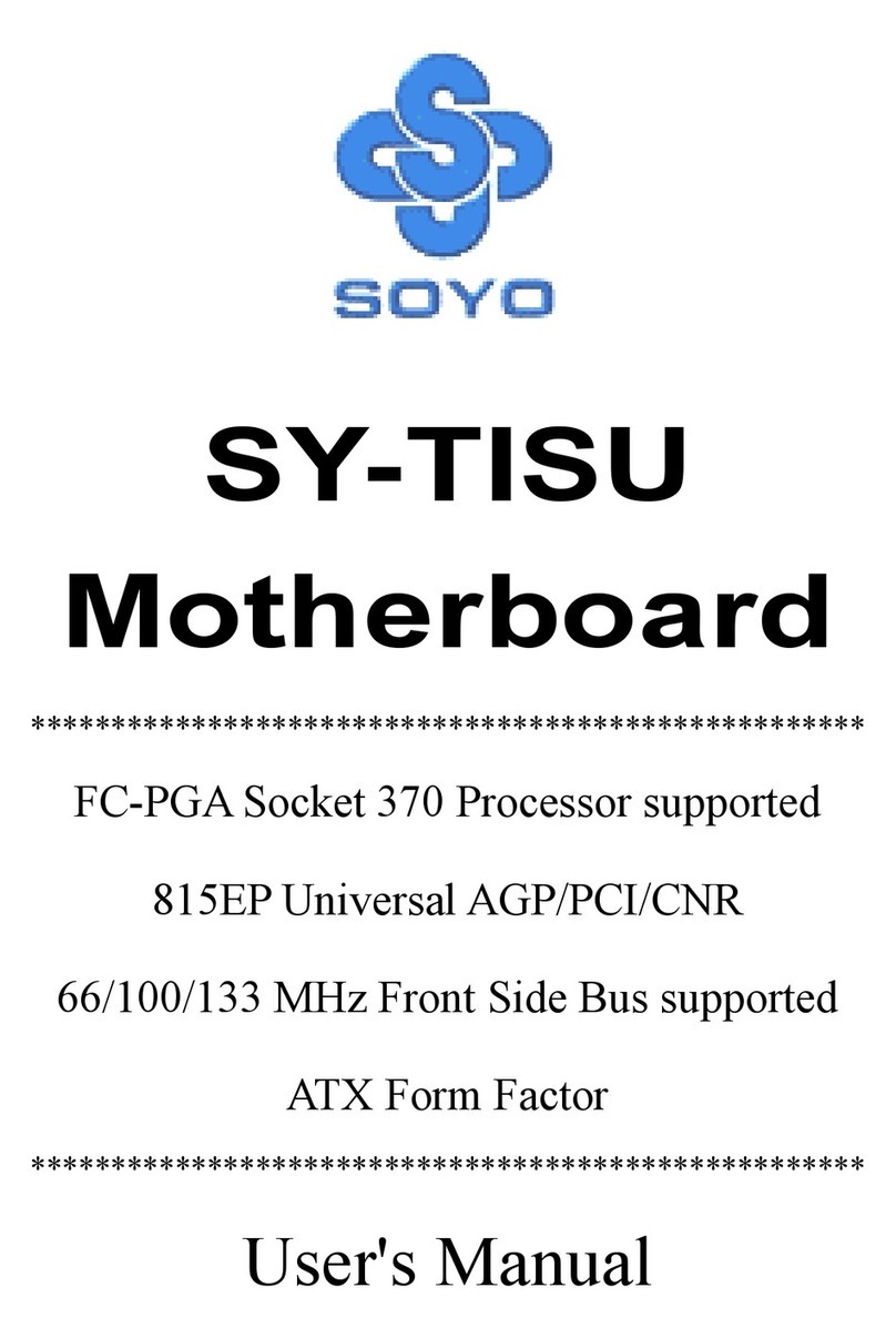 SOYO SY-TISU user manual