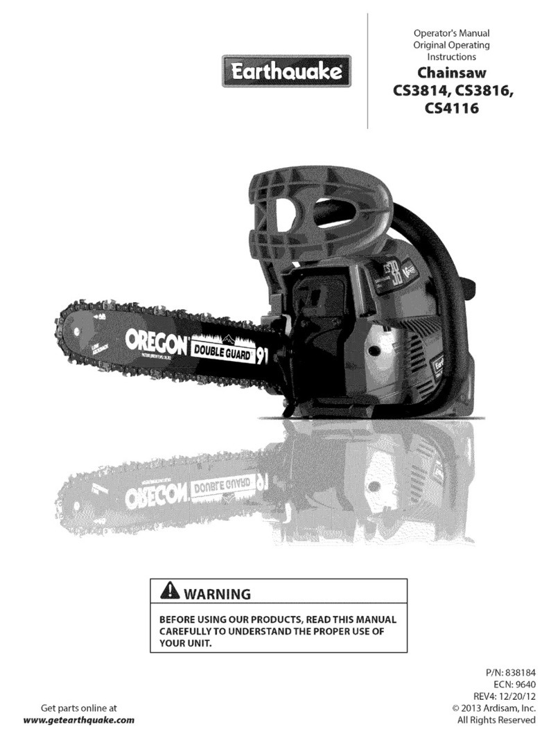EarthQuake CS3816 User manual