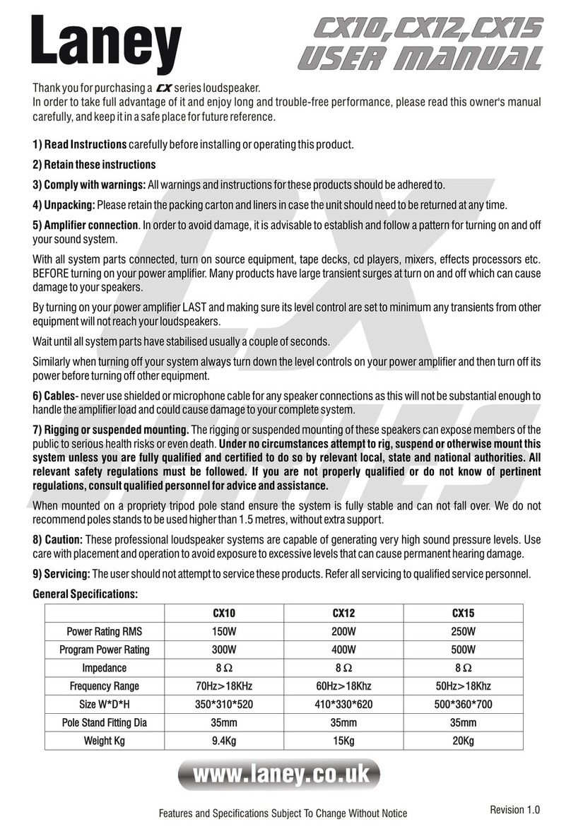 Laney CX10 user manual
