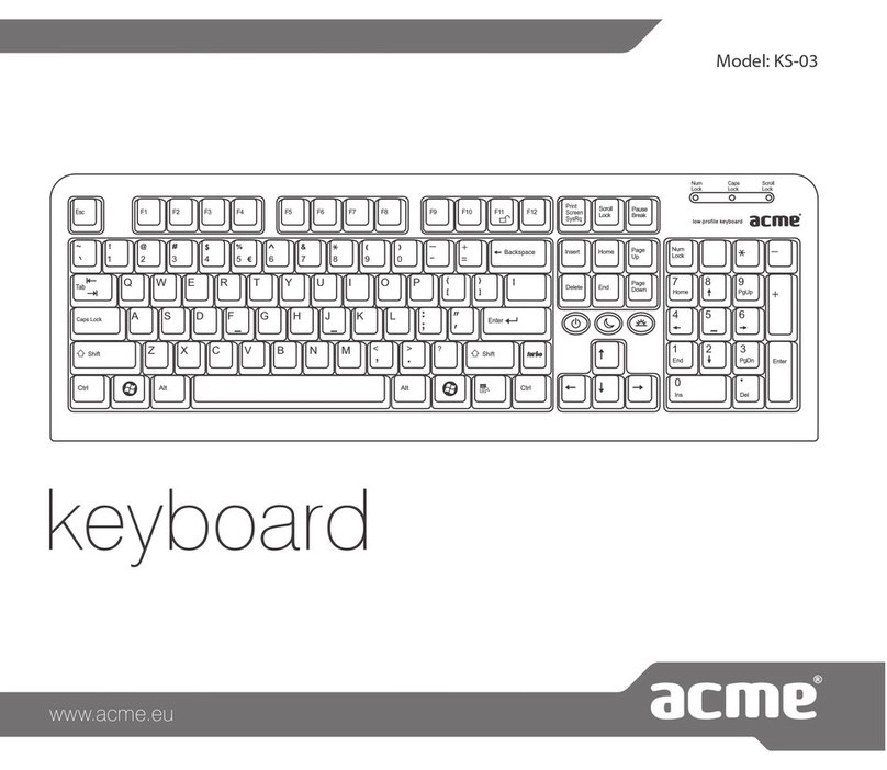 ACME KS-03 User manual