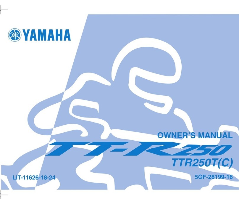 Yamaha TT-R250 owner's manual