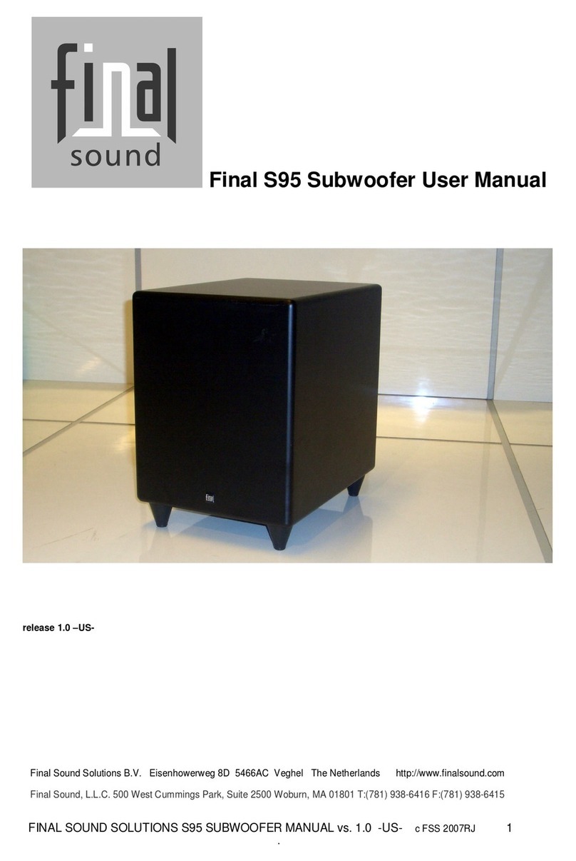 Final Sound Final S95 user manual