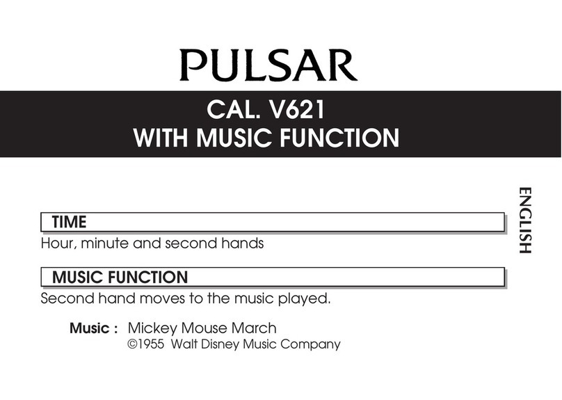 Pulsar V621 user manual