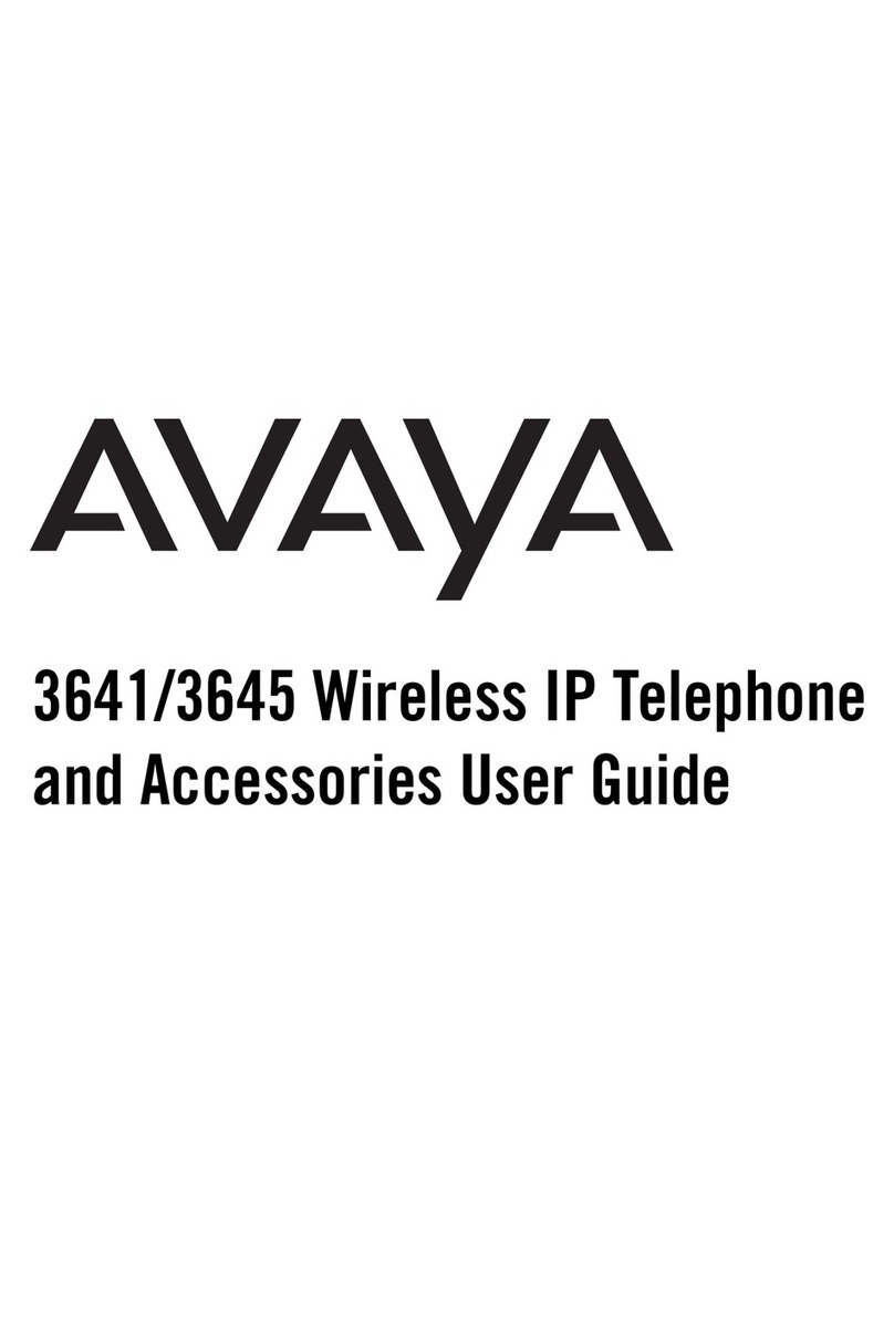 Avaya 3641 user guide