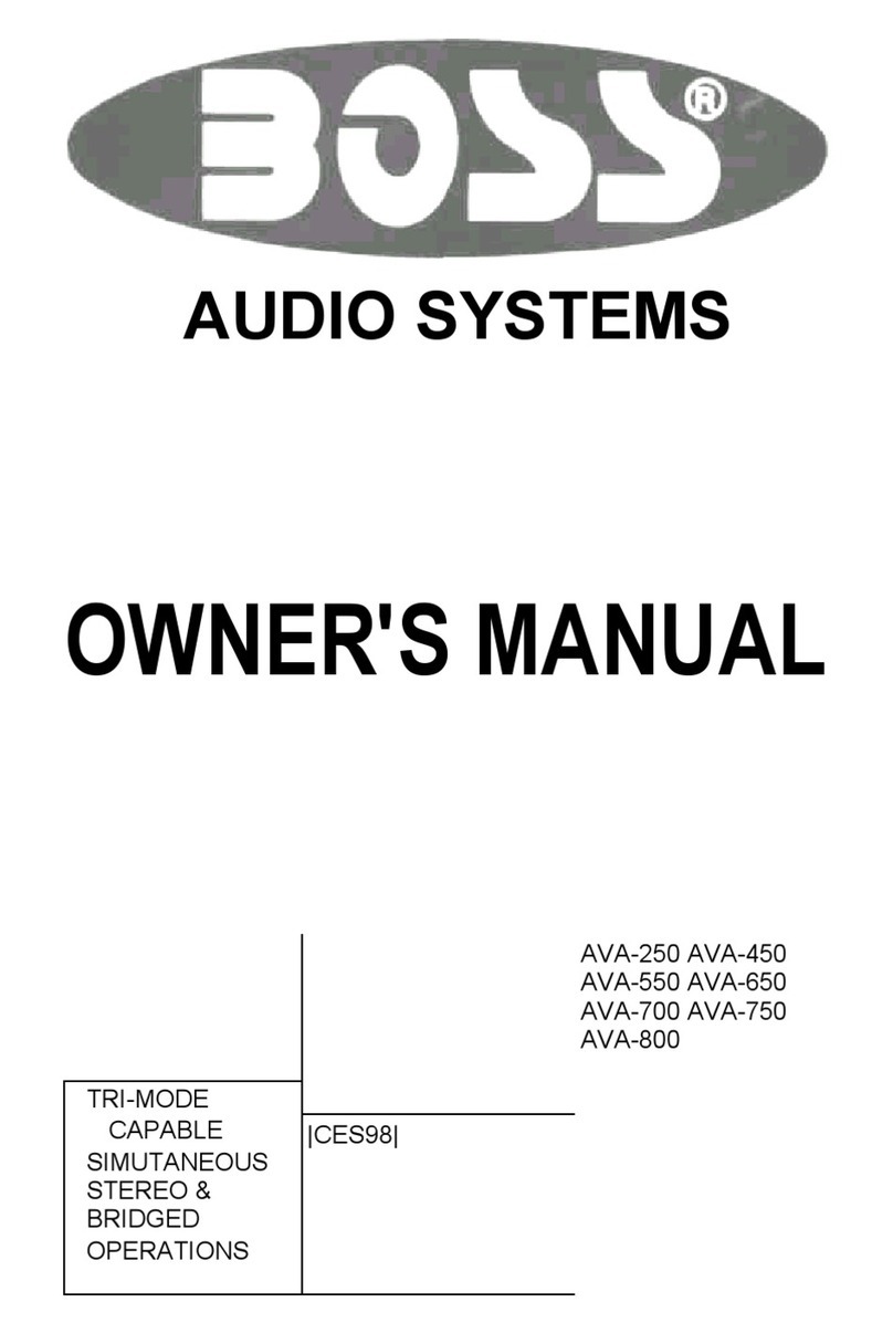 Boss Audio Systems AVA-250 User manual