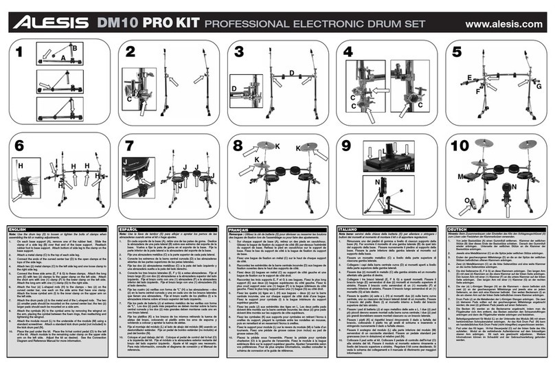 Alesis DM10 PRO KIT User manual