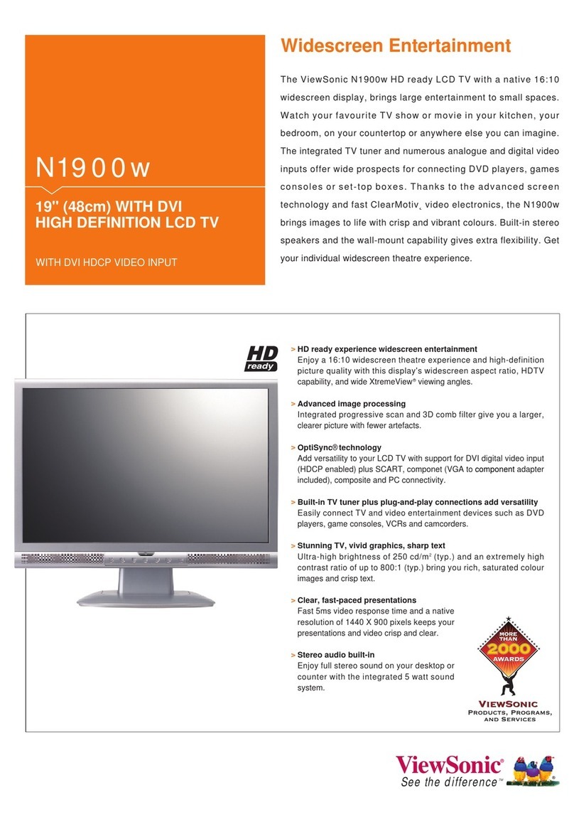 ViewSonic N1900w User manual