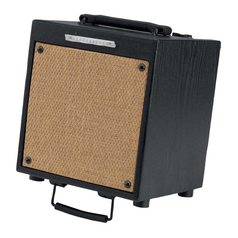 Ibanez troubadour T35 User manual