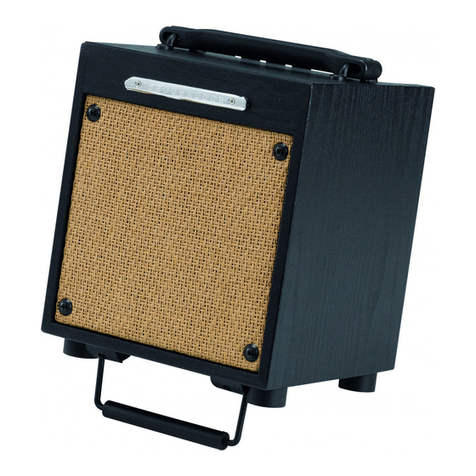 Ibanez Troubadour T10 User manual