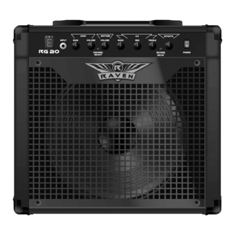 Raven 20 WATT RG20 user manual