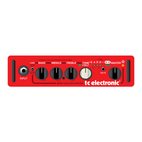 TC Electronic BH250 User manual