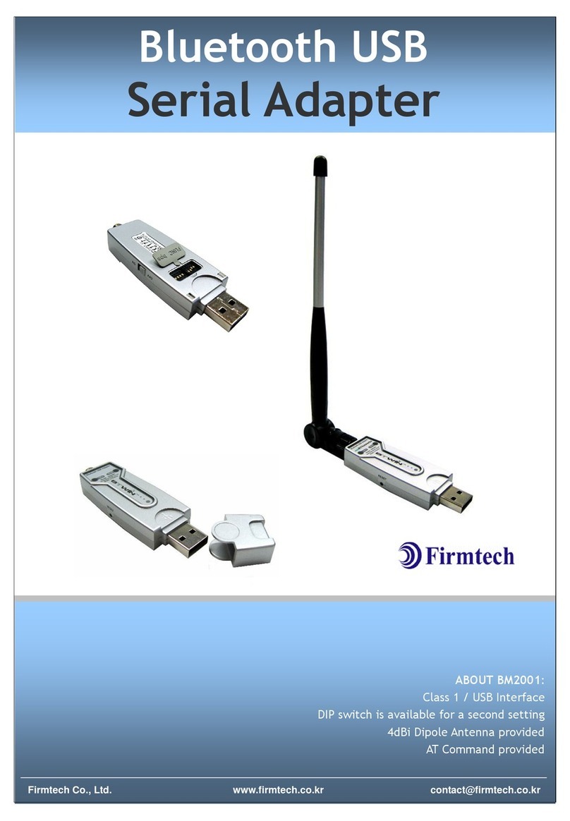 Firmtech BM2001 Instruction