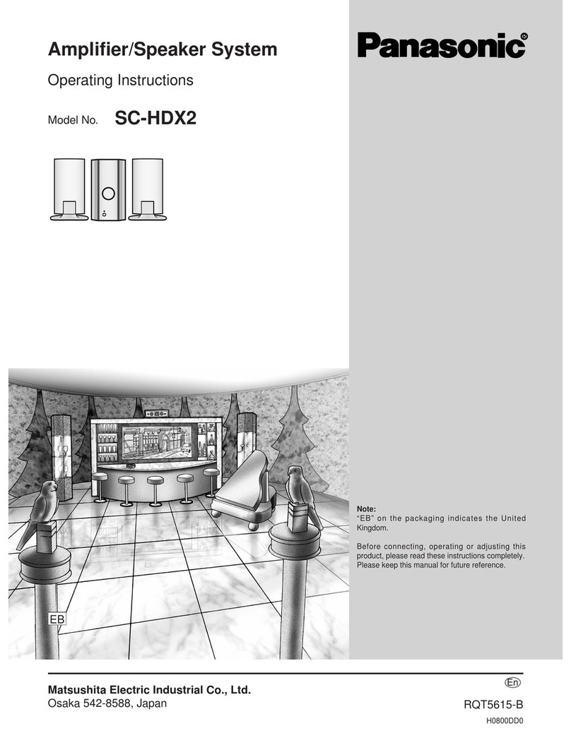 Panasonic SCHDX2 - AMPLIFIER SPEAKER SYSTEM User manual
