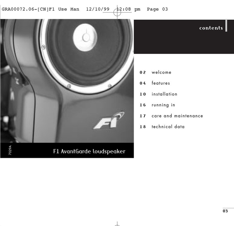 TAG MCLAREN AUDIO F1 AvantGarde owner's manual